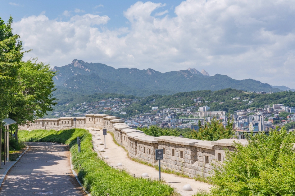 Высокая доступность – пластическая хирургия