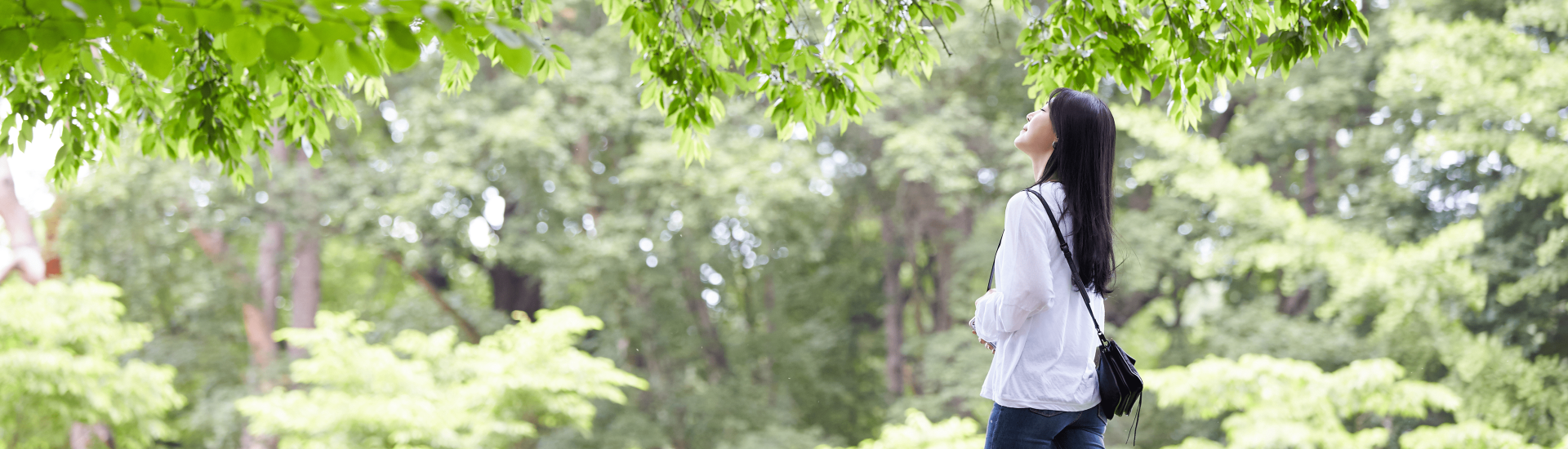 Путешествие в Корею